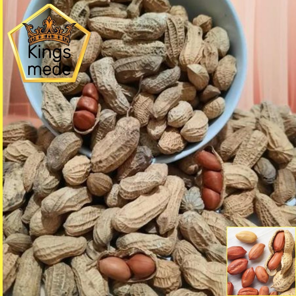 

KACANG KULIT TUBAN 500 GRAM / KACANG KULIT OVEN 500 GRAM / KACANG KULIT SANGRAI TUBAN 500 GRAM