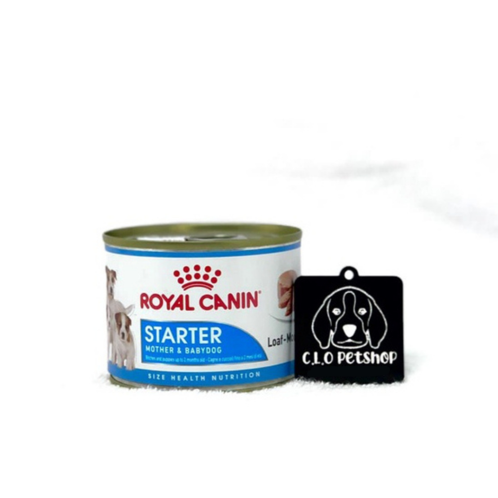 Royal Canin Starter Mousse Dog 195 g