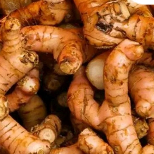 

Lengkuas / Laos 500 gram