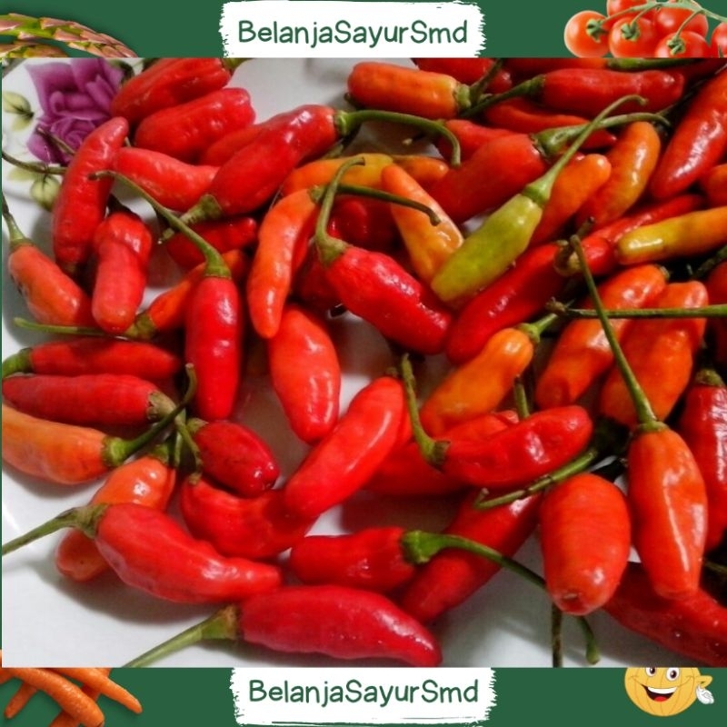 

Cabe rawit Merah