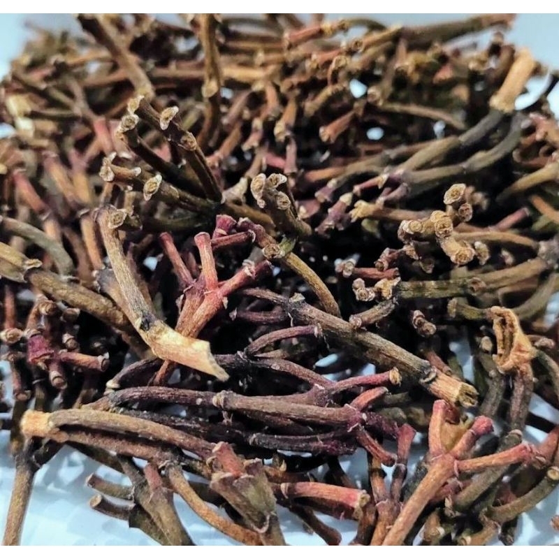 

batang cengkeh kering _gagang cengkeh fres