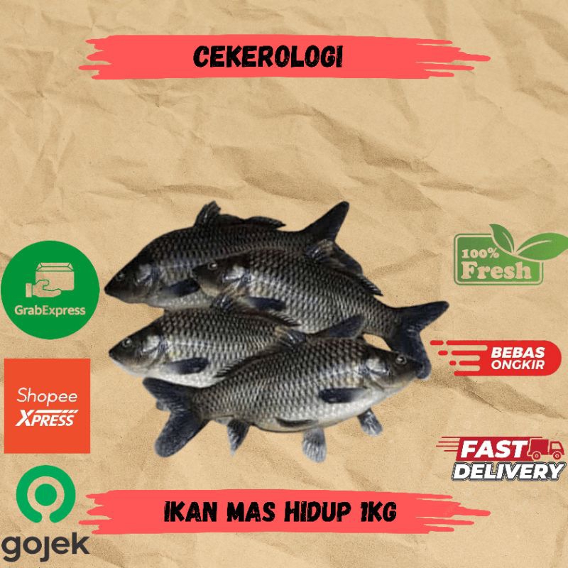 

Ikan Mas Hidup 1kg / Ikan Mas Hidup / Ikan Mas / Ikan Mas Fresh Berkualitas / JABODETABEK / Ikan Segar / Ikan