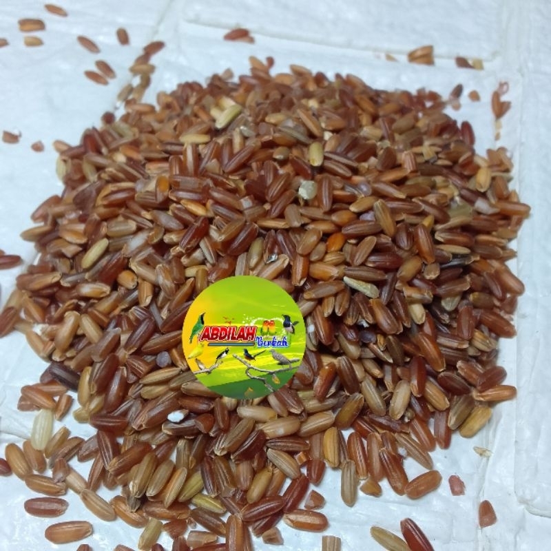 Beras merah pakan makanan burung merpati,tekukur dan ayam berat 1 kg abdilah berkah