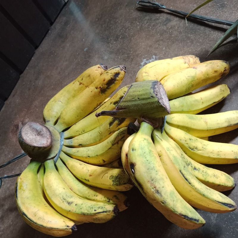 

pisang ambon