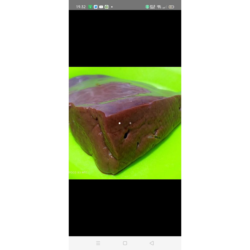 

Hati sapi giling 250 gram