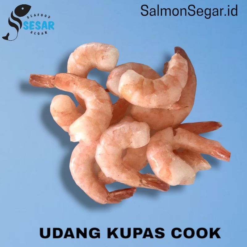 

Udang Cooked Jumbo - Udang Laut Cooked Grade A