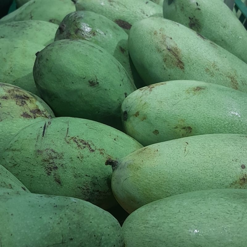 

mangga manalagi