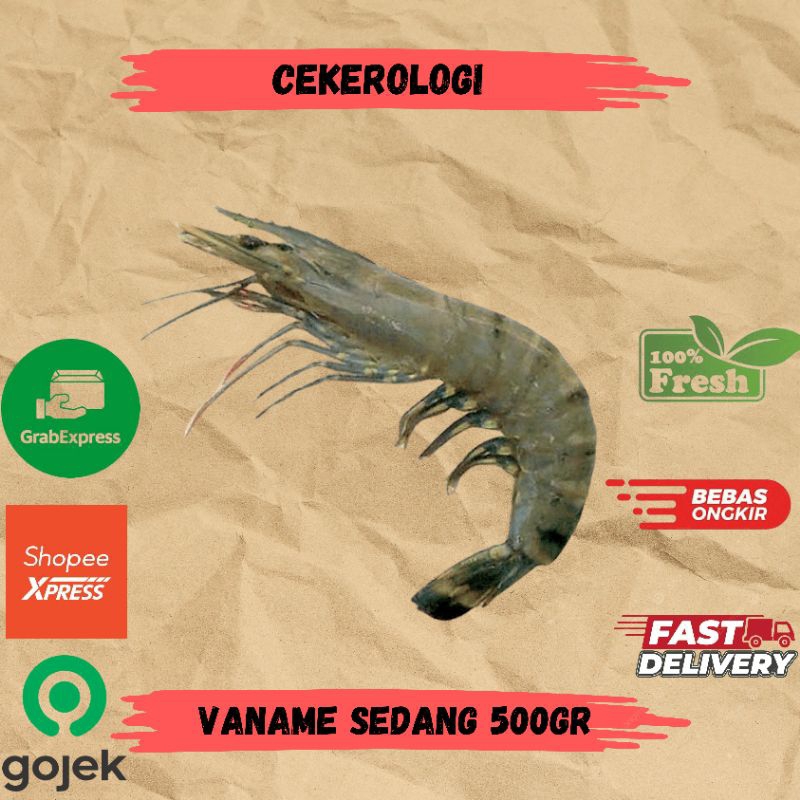 

Vaname Sedang 500gr / Udang Vaname Sedang / Udang Vaname / Vaname / Udang Vaname Fresh Berkualitas / JABODETABEK / Seafood Segar / Seafood