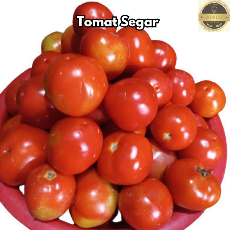 

Tomat Segar 500 gr Sayuran Berkualitas