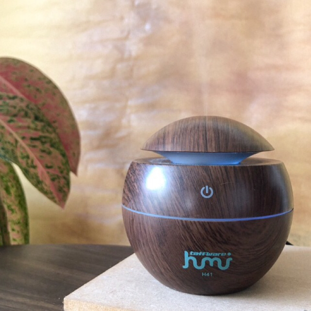 Taffware Humidifier