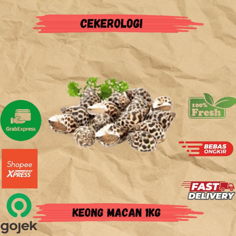 

Keong Macan 1kg / Keong Macan / Keong Macan Fresh Berkualitas / JABODETABEK / Seafood Segar / Seafood