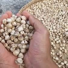 

Kapol Laga/Bumbu Masak untuk sop, Gulai per 1kg