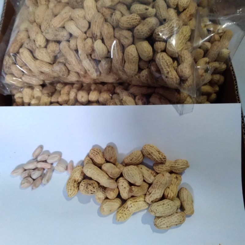 

Kacang Kulit Asin Kemasan 400 gram/Gurih/Enak/Renyah