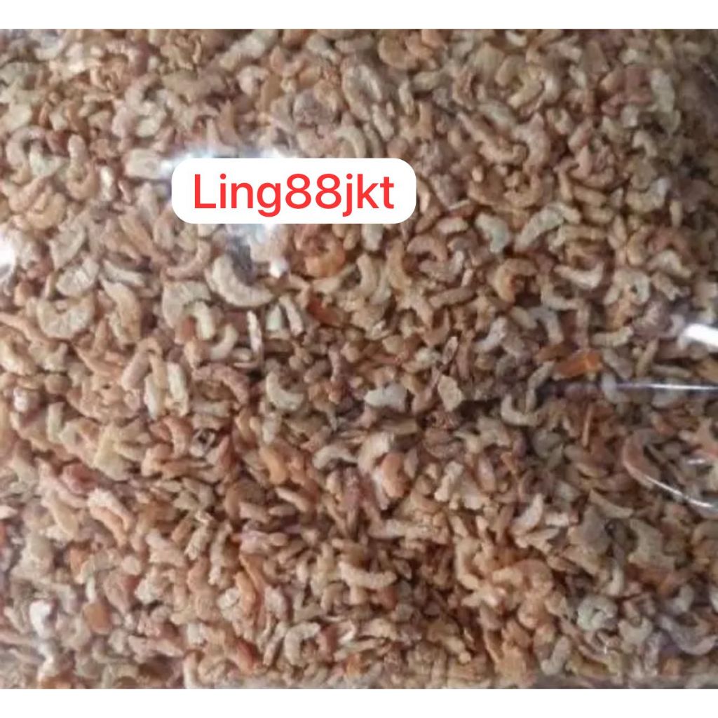 

Hebi kecil bagansiapiapi 500 gram bagan / ebi bagan /ebi udang kering /ebi kering / hebi kering