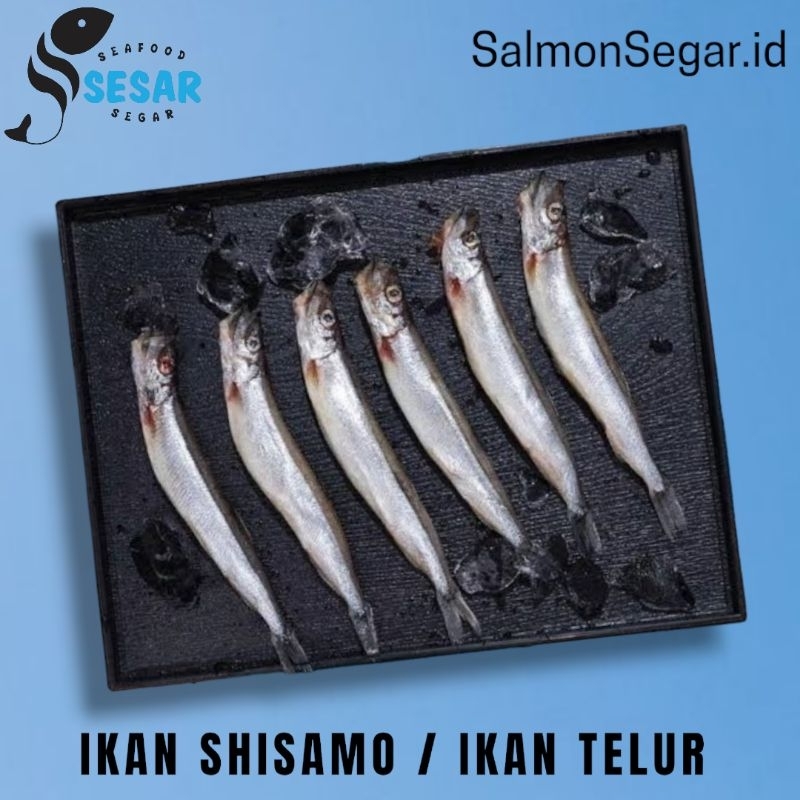 

Ikan Shisamo Capelin 400gram - Ikan Telur - Seafood Import
