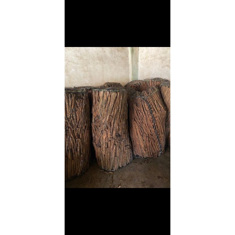 

Kayu Manis Asli Sumatra Selatan (Pagar Alam - Jarai) Freesh,1Kg