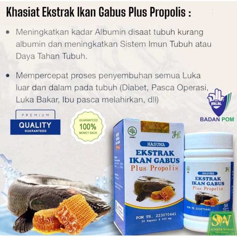 HASUNA EXTRAX IKAN GABUS 50 Kapsul BPOM EXTRA IKAN GABUS