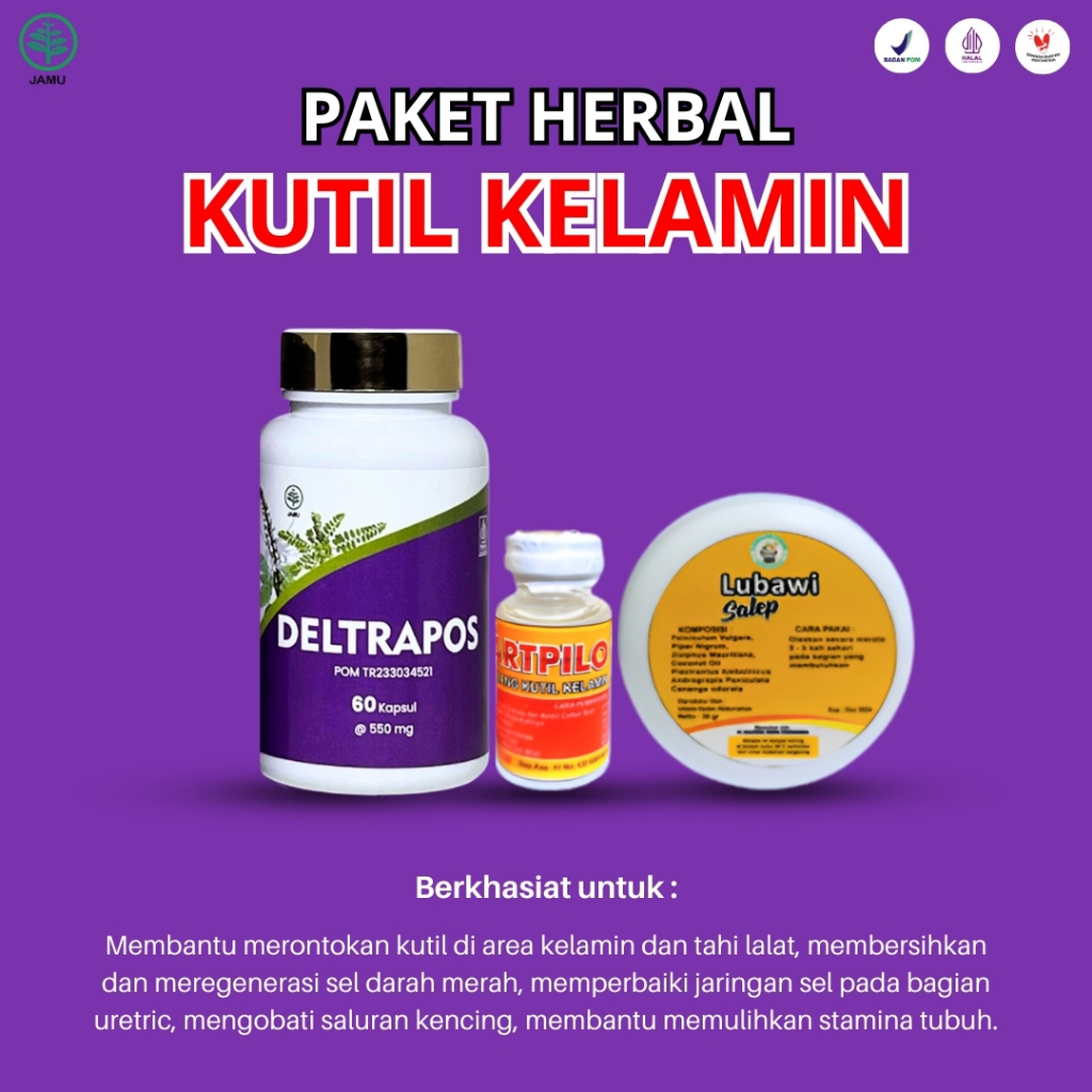 Obat Kutil Kelamin Laki Laki Wanita Herbal Hpv Papiloma Bernanah Gatal Selangkangan Deltrapos Herbal