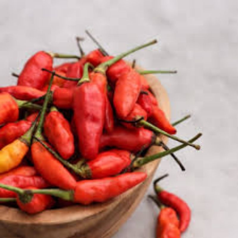 

cabai rawit merah (tersedia paketan)