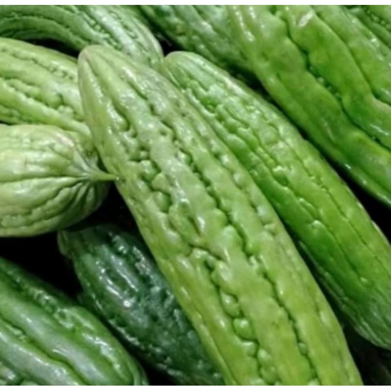 

[PALEMBANG] PARE 500GR - SAYUR BUAH IKAN SEGAR ONLINE