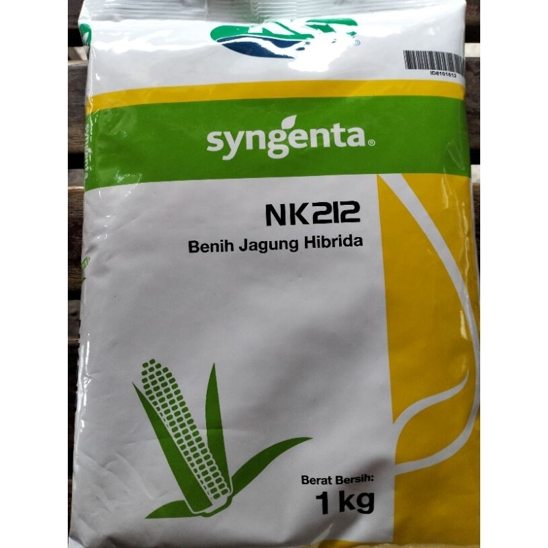 

Benih Jagung Hibrida NK212