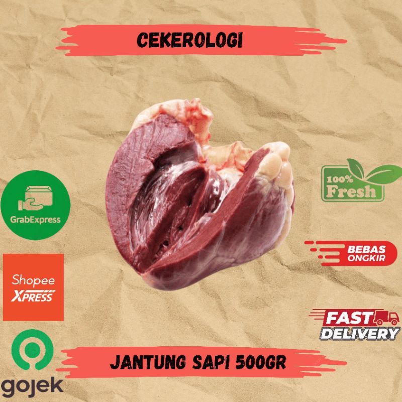 

Jantung Sapi 500gr / Jantung Sapi / Jantung Sapi Fresh Berkualitas / Daging Sapi / Sapi