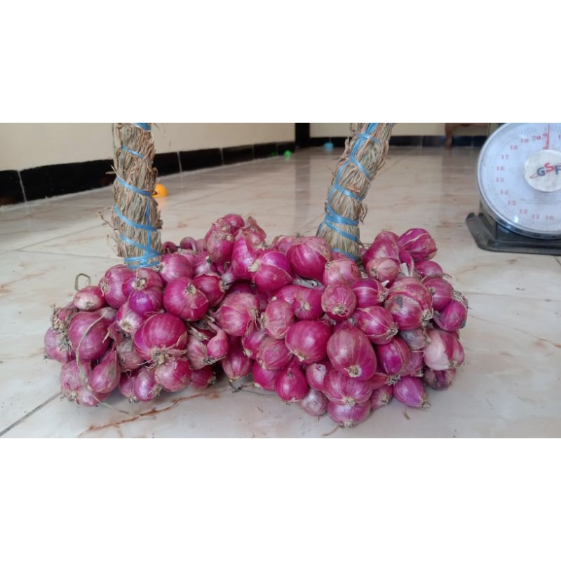 

promo bawang merah murah jumbo berat 1kg