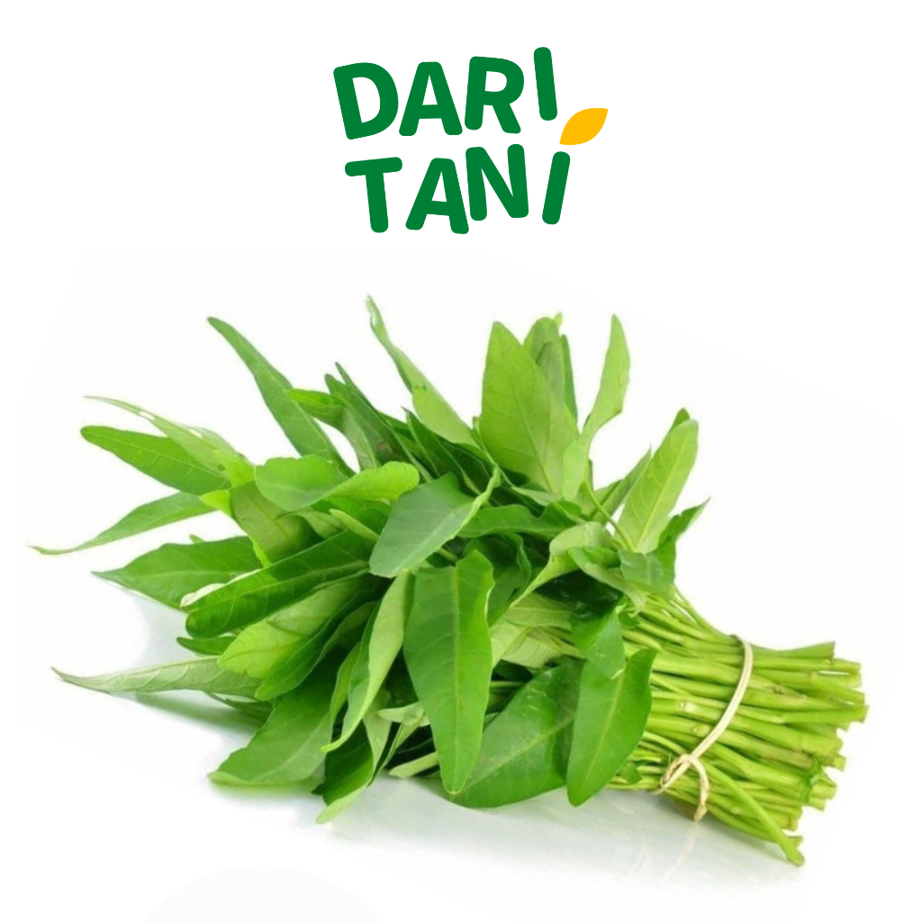 

DariTani Kangkung Potong Akar ikat