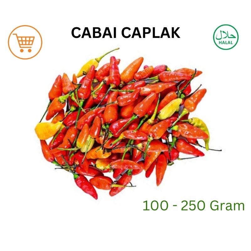 

Cabe Caplak Segar Medan 100 Gram - 250 Gram