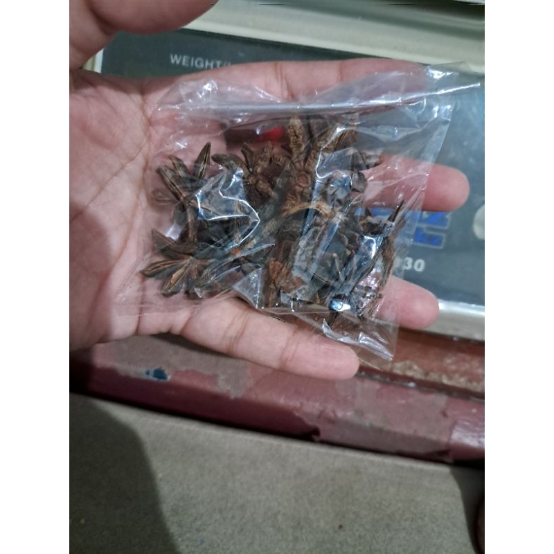 

Bunga Lawang kering 10 gram