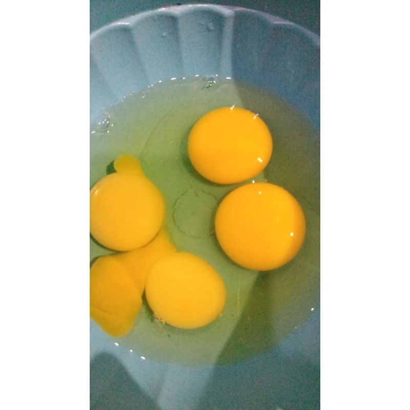 

TELUR AYAM RAS / NEGERI (KHUSUS INSTAN)