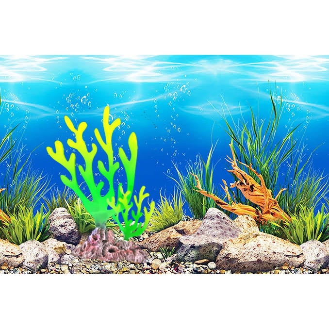 Karang cabang glow stabillo, karang laut stabillo hijau, karang laut aquarium, karang glow in dark, 