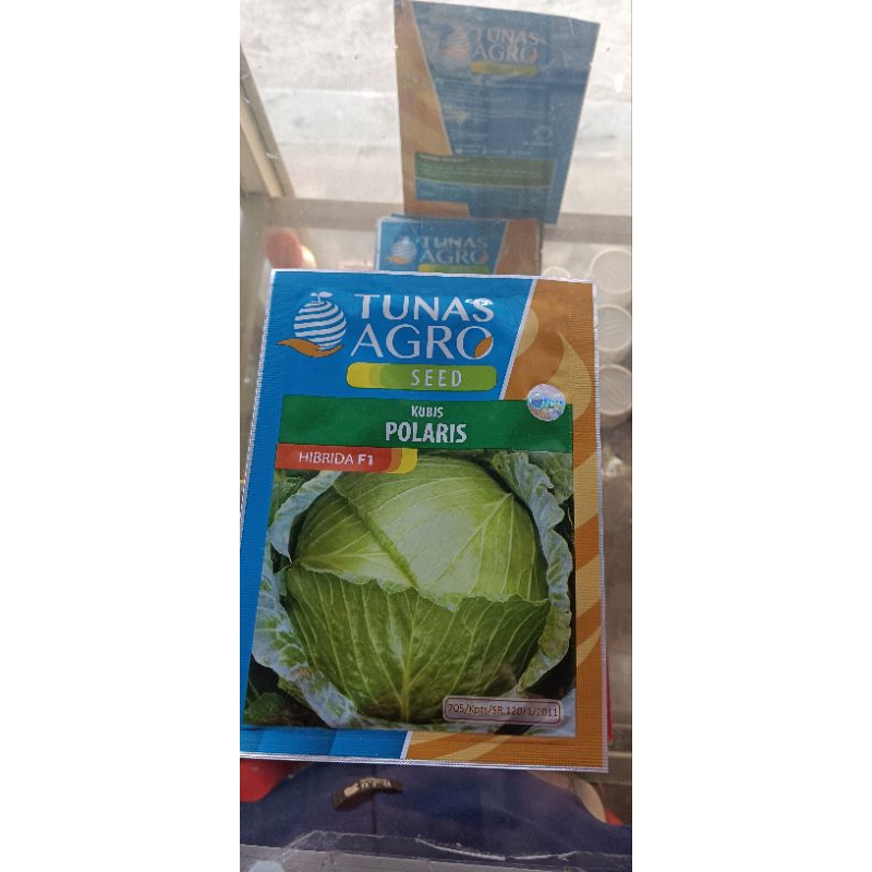 Benih Kubis Polaris 20gr