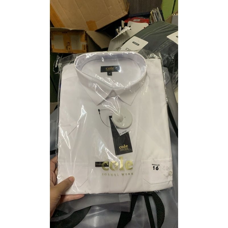 Kemeja Cole Lengan Pendek 250 Sale 115
