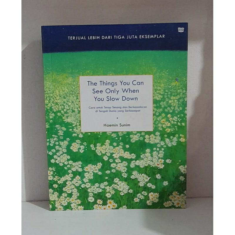 The Things You Can See Only When You Slow Down (Preloved)