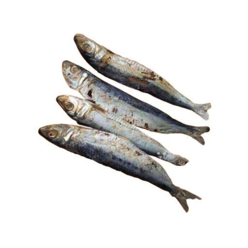 

PEDA | IKAN ASIN PEDA KECIL