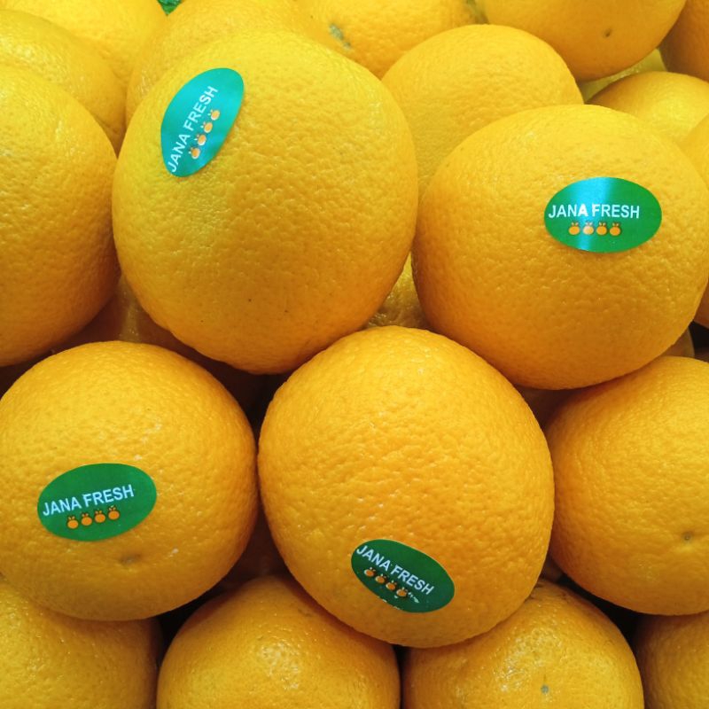 

Jeruk Valencia Mesir / Navel Mesir / Jeruk Potong