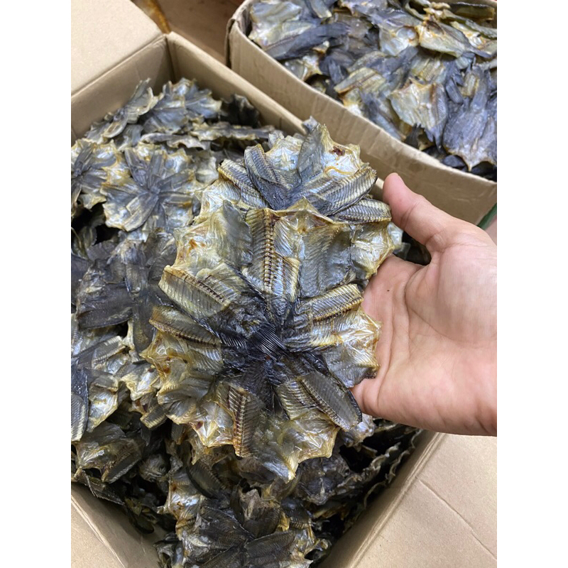 

garih papuyu bintang khas kalimantan selatan