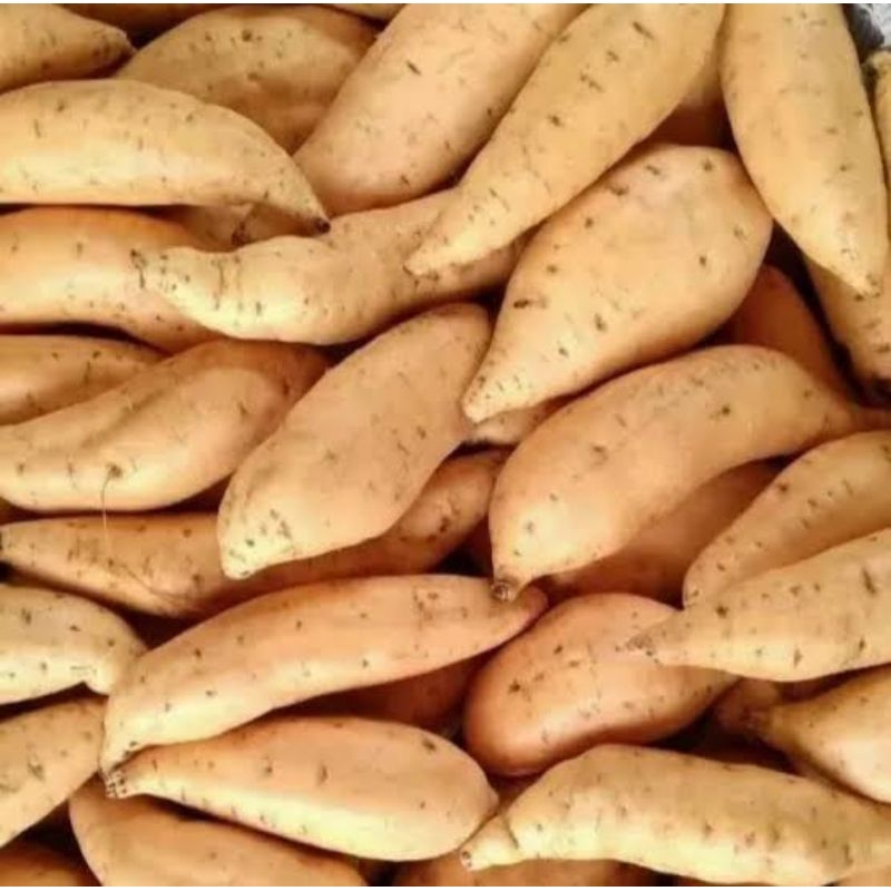 

Ubi Cilembu Super Asli Sumedang Mentah 500gr