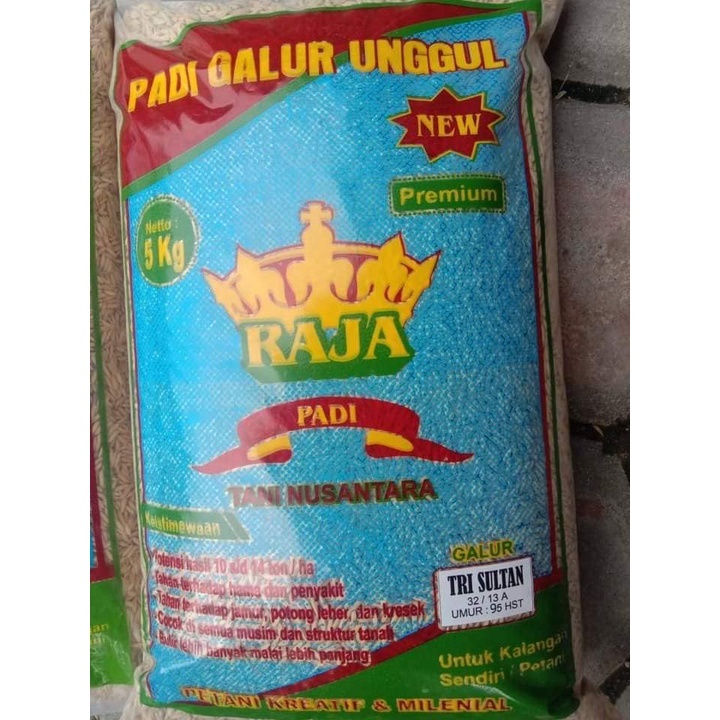 BIBIT BENIH PADI TRISULTAN BERAT 5KG