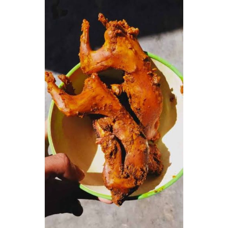 

daging tupai fresh (obat diabetes dll)