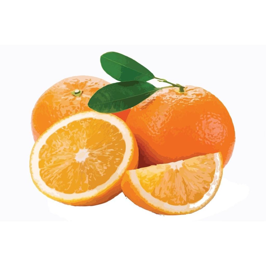

Jeruk Orange Vitamin C
