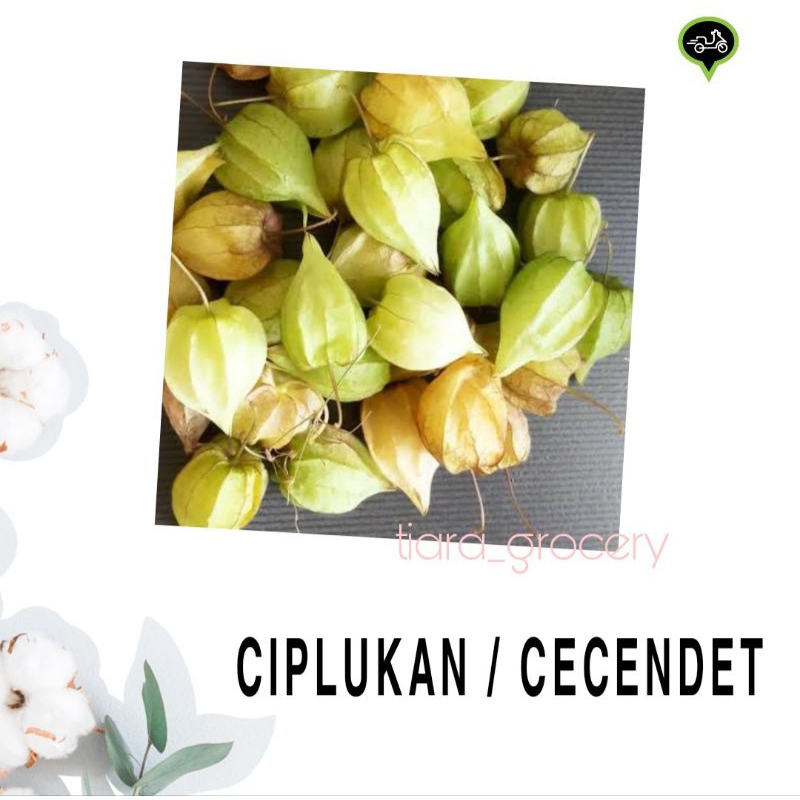 

Ciplukan/ cecendet