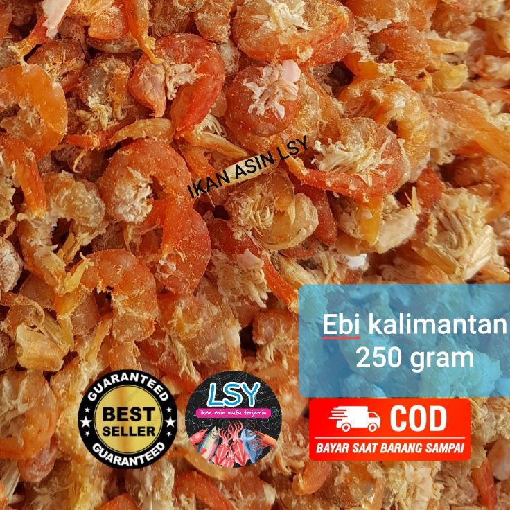 

Terupdate EBI KERING SUPER UDANG EBI DAGING 25GRAM ASLI KALIMANTAN