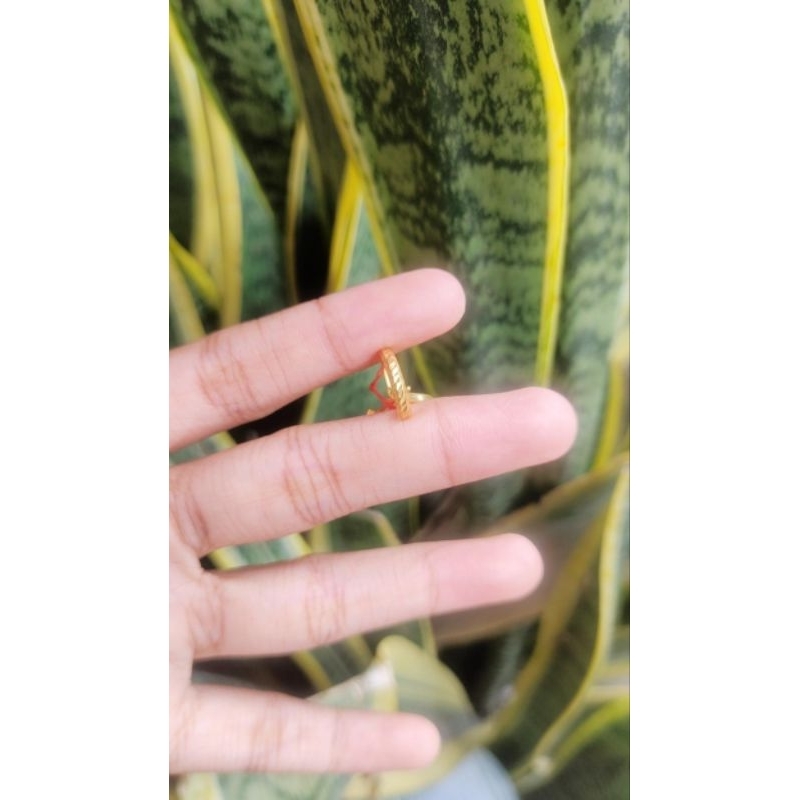 Anting jepit Emas 916