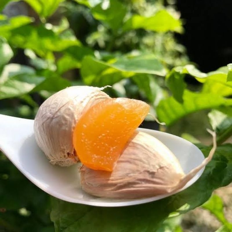 

100 gram, 1 ons Bawang Putih tua emas GOLDEN GARLIC, kaya manfaat Herbal