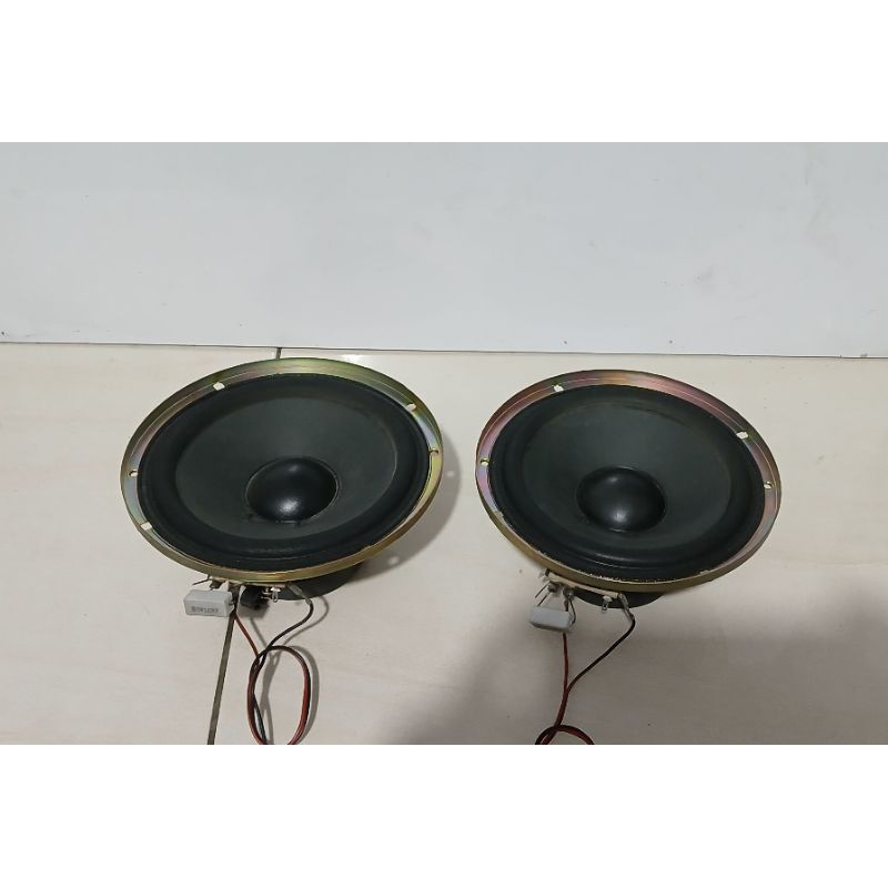 SPEAKER 6 INCH COPOTAN COMPO PANASONIC SA-CH75
