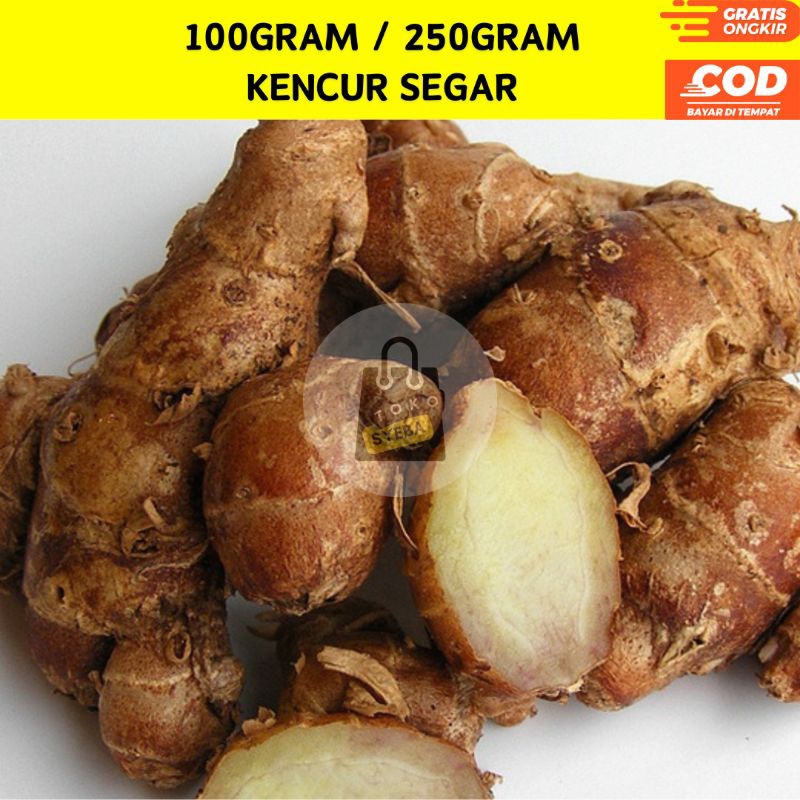 

150gram Kencur Bersih dan Segar