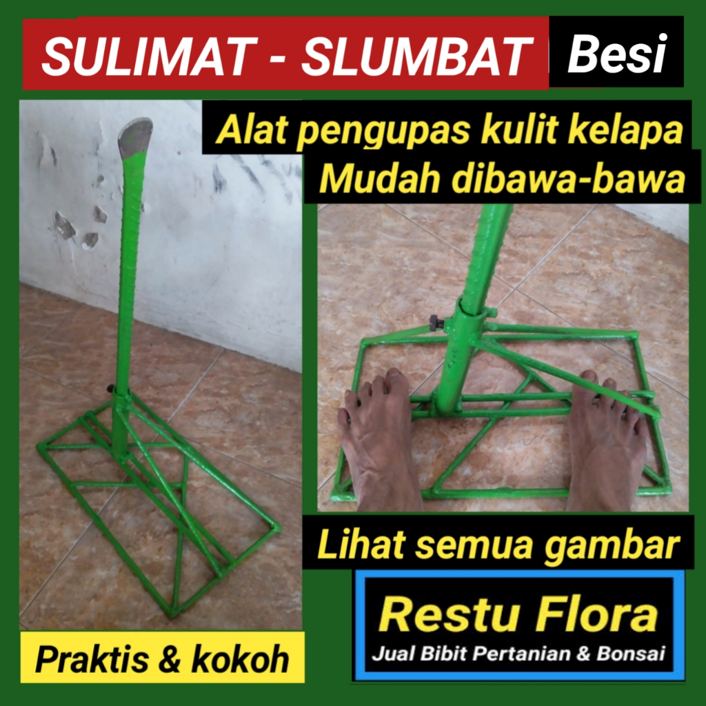 SULIMAT- SLUMBAT - BESI --  Alat pengupas kulit kelapa
