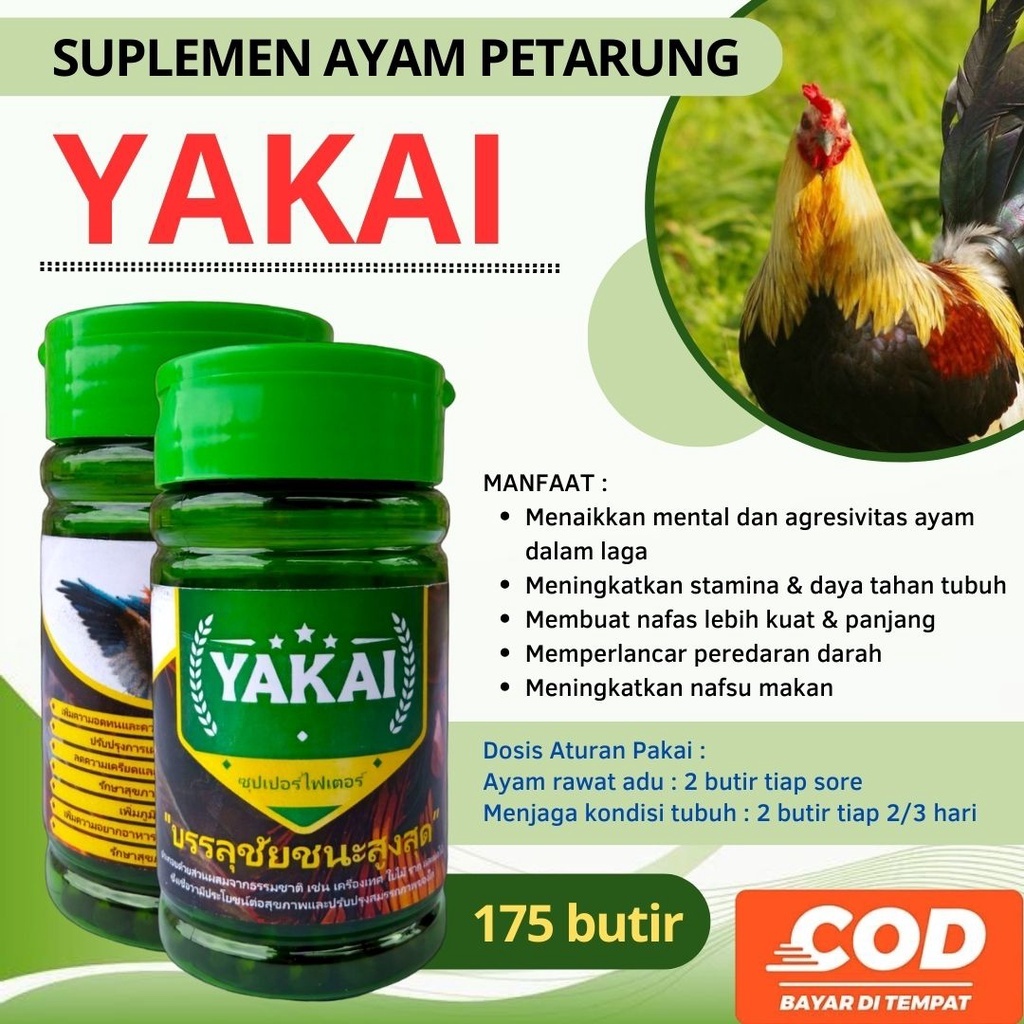 Jamu Ayam Bangkok Tenaga Super Impor Thailand Yakai Isi 175 butir